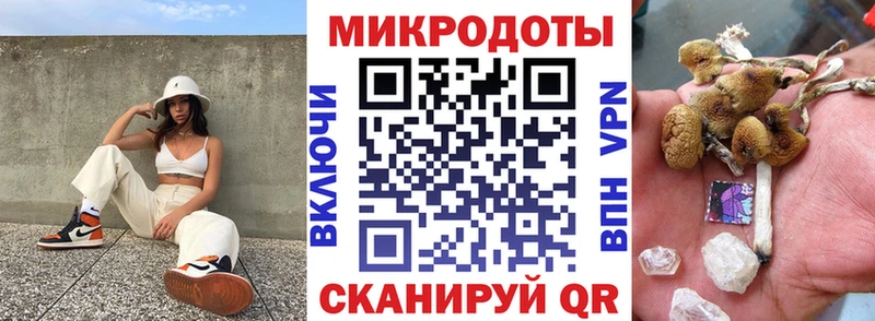 Псилоцибиновые грибы Psilocybine cubensis  Кола 